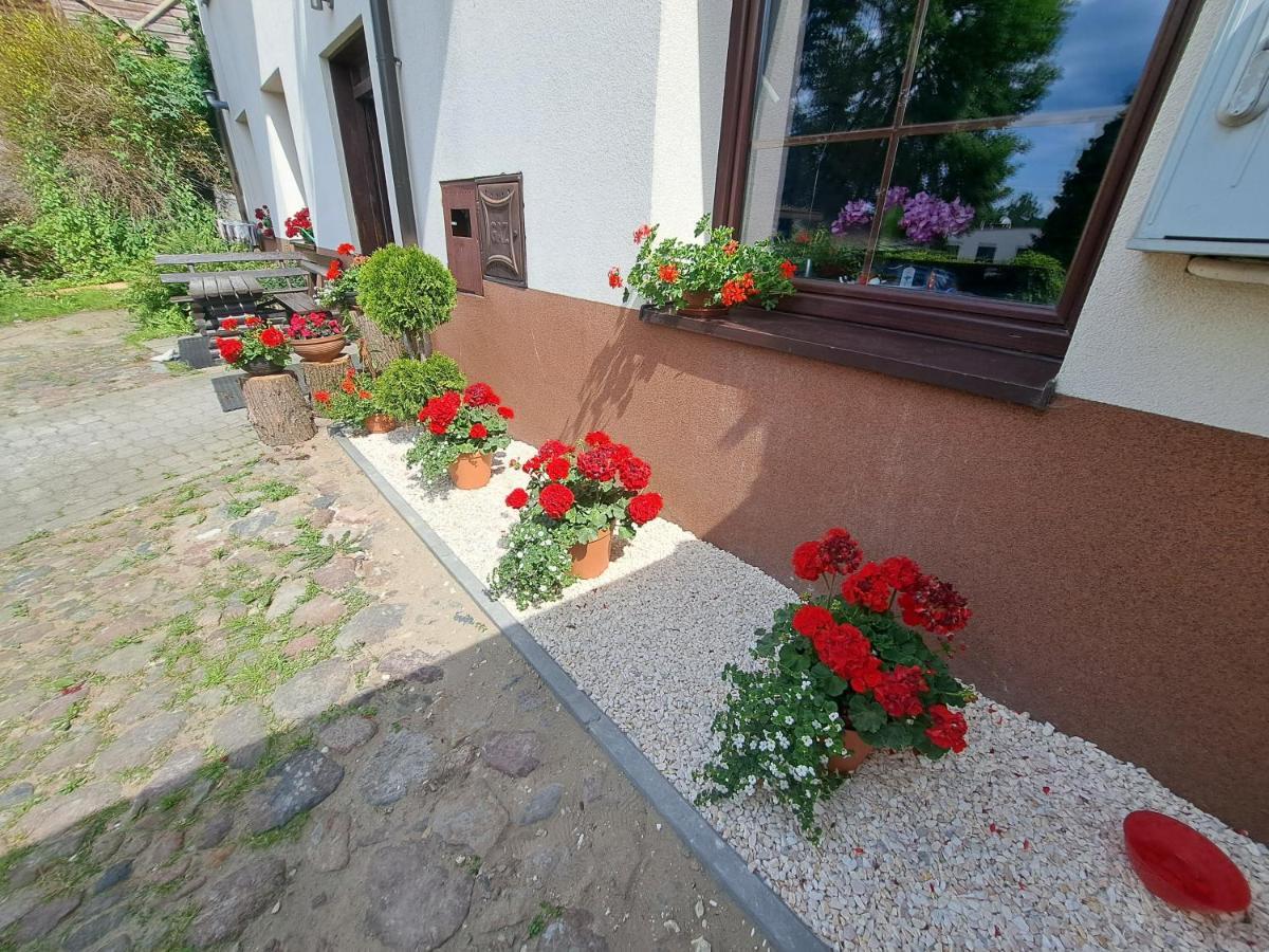 Apartament Deluxe-Gontalowy Kazimierz Dolny Eksteriør billede